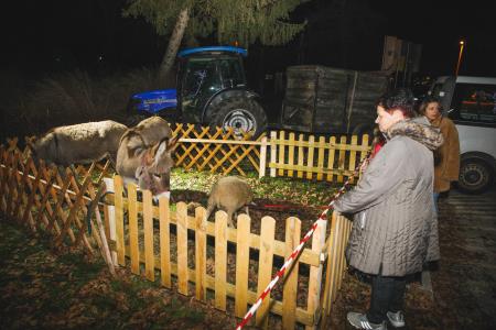 Božiček in žive jaslice (35)
